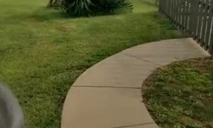 'Quick sneaky neighbors wife fucked on porch'