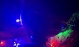 Pregnant wife sucks dick in Christmas lights