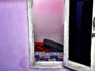 Almost Caught By Neighbor! MILF Hijab Blowjob In Window