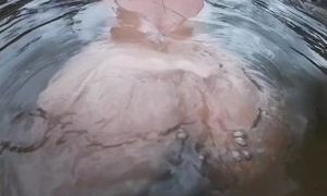 Nude Amateur Wife Swimming Underwater View