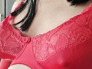 D Cup Red Lace Big Bra