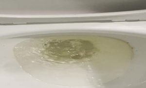 Peeing -Man pisses in toilet  ðŸ’¦ðŸš½