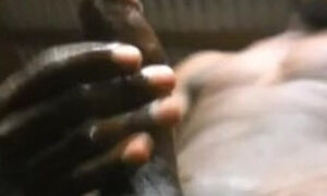 AFRICAN PENIS OILED  FAST HANDJOB MASSAGE