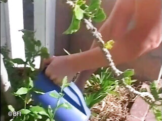 Matures I Would Like to Fuck 4 - Compilation Video