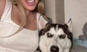 Sexy blondie plays with her dog